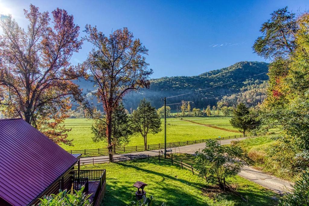 Papa Bear, Hot Tub, Wifi, 1089 Free Tickets Each Paid Day, Dollywood And More Sevierville Eksteriør billede