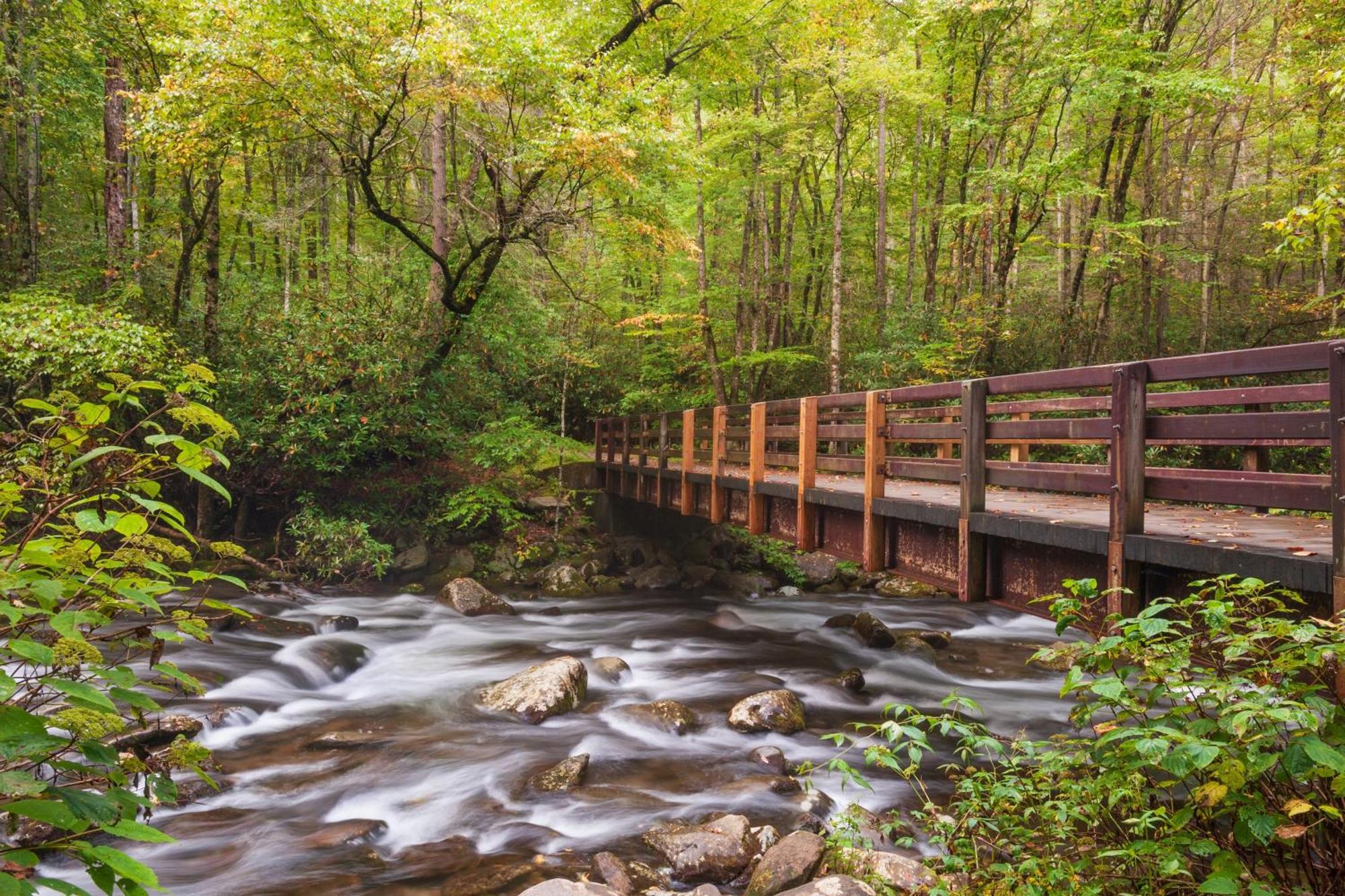 Papa Bear, Hot Tub, Wifi, 1089 Free Tickets Each Paid Day, Dollywood And More Sevierville Eksteriør billede